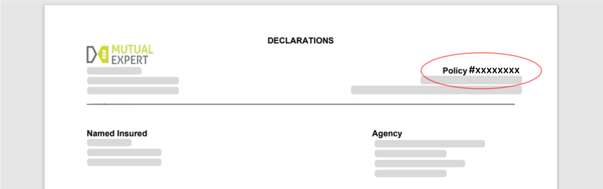 Declaration page with circled Policy Number